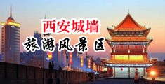大鸡巴后入式操B视频中国陕西-西安城墙旅游风景区